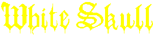 white skull logo